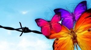 butterfly_effect