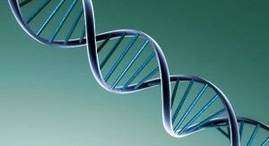 dna-double-helix