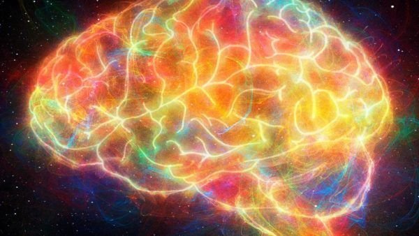 amor cerebro