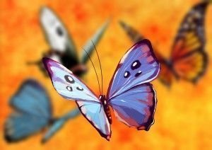 el poder de las mariposas