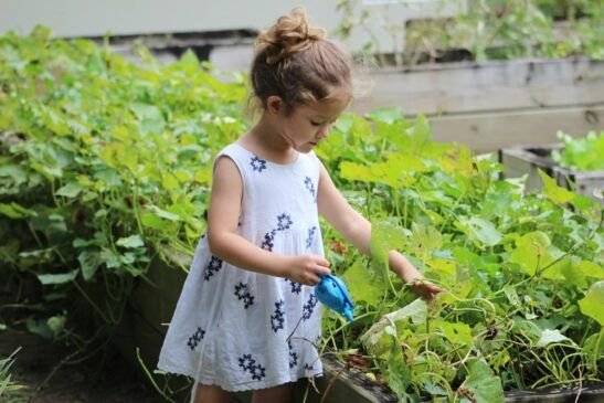 crecimiento infantil