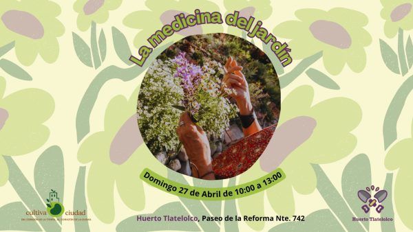 “La Medicina del Jardín”: reconecta con la naturaleza a través de la jardinería consciente